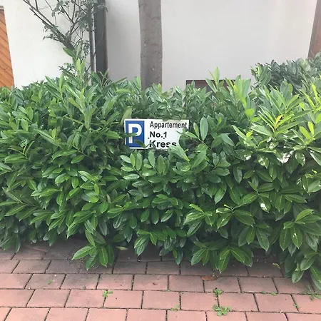 아파트 Kress No.1